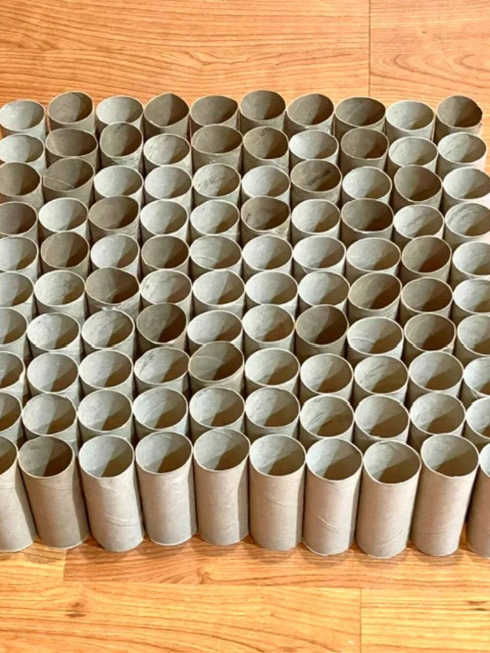 100 Toilet Paper Empty Rolls Cardboard Tubes Craft Art Project School Kid